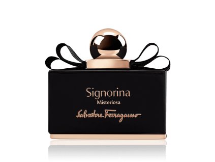 Signorina Misteriosa Salvatore Ferragamo
