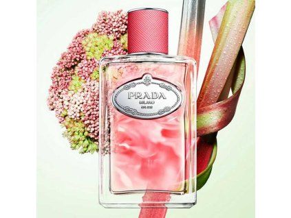Infusion de Rhubarbe Prada 2