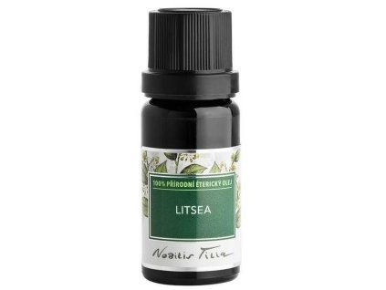 Litsea Nobilis Tilia
