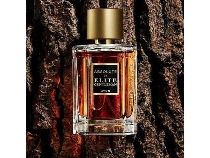 Absolute by Elite Gentleman AVON