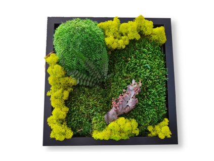 Mechový obraz 25x25 cm č.4