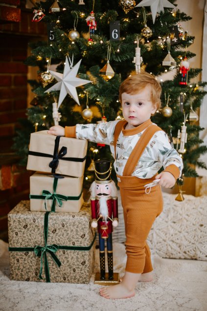 vianočnefotenieWaB72