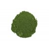 41750 Pigment Kremer, 75 g, Zemná zelená z Vagone