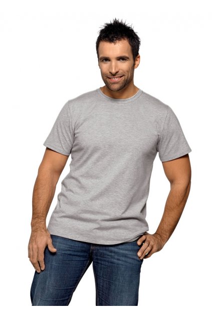 Pánské tričko, 20214 36, šedá (Velikost M)