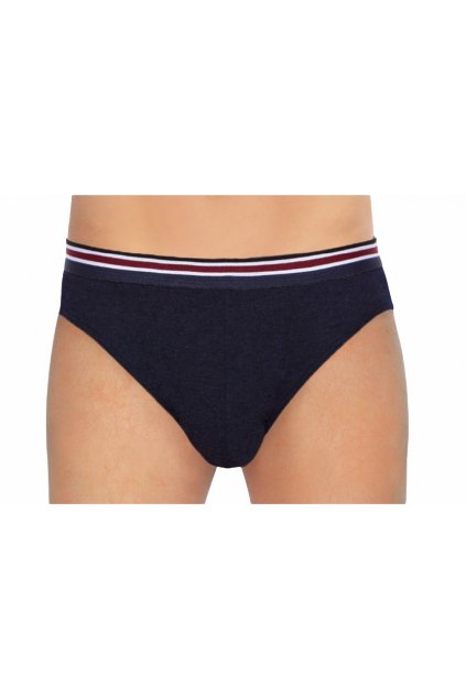 Pánské slipy, 20027 28, modrá (Velikost XL)