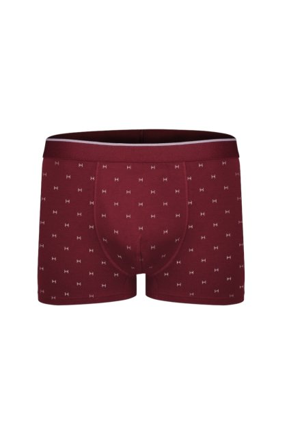 Pánské trenkoslipy, 20176 350, bordó (Velikost S)