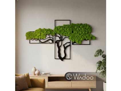 Bonsaj vďačnosti svetlozelený