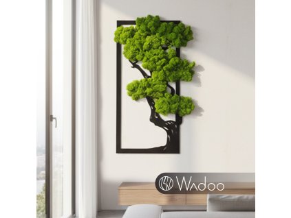 Bonsaj porozumenia svetlozelený