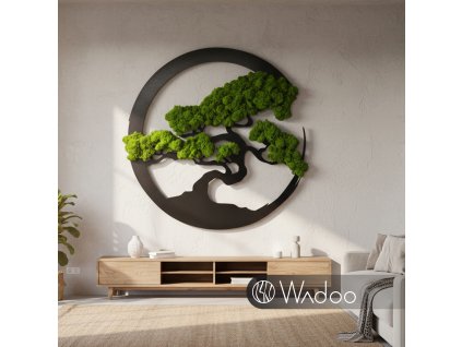 Bonsaj Harmónie svetlozelený