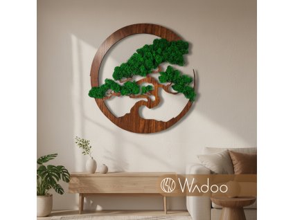 Bonsaj Harmónie Tmavozelený