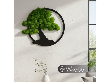 Bonsaj Hojnosti svetlozelený