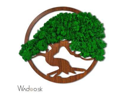 1 Machový obraz bonsaj radosti tmavozelený 1mb