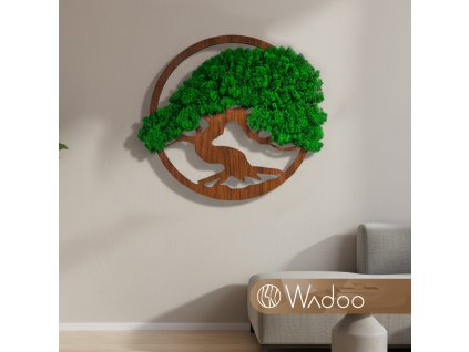 Bonsaj Radosti tmavozelený