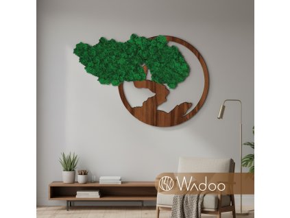 Bonsaj Života tmavozelený