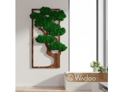 Bonsaj porozumenia tmavozelený