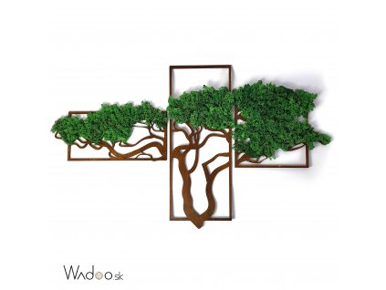 Bonsaj vďačnosti tmavozelený