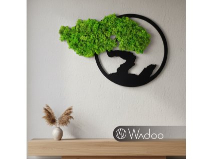 Bonsaj Života svetlozelený