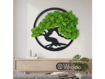 Bonsaj Radosti svetlozelený