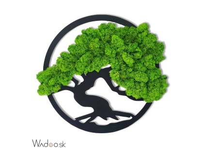 1 Machový obraz Radosť SVZ