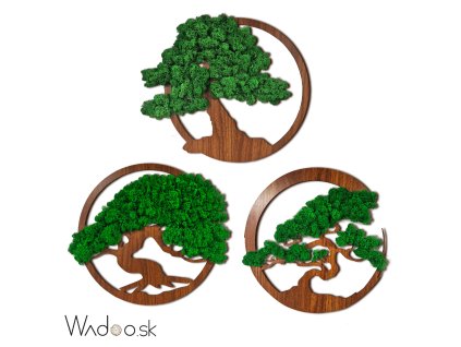 zvýhodnený set machových obrazov 1