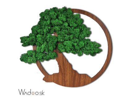 1 Machový obraz Hojnosť tmavozelený 1mb