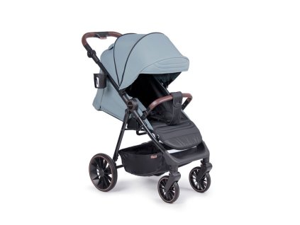 782047 coletto dizzi mint