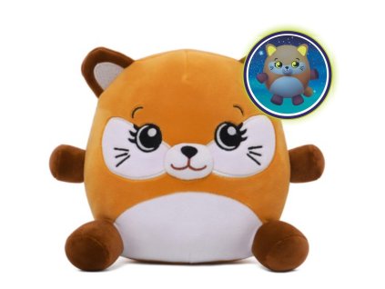 428a2d329d9b775db4b2a775bbe2f01f