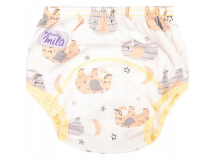 66465061d4b75f87bd8fad98b3d0040c