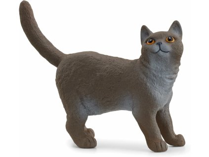 dfce9b3f080e79a5fc8efaf8bfe13a9b