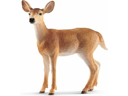 41c07ef861bcf3999b0d12b16f64cb4e