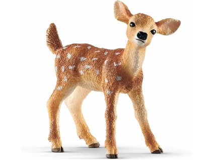 b03b8994e4eaa3aca55fab35d7fc41ea