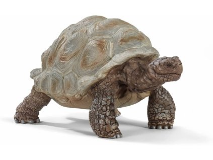 c858535734ab0321591bdba0a016a3d1