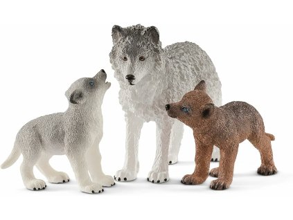 c211768b5c3e1e95c782fd88b2fc2f71