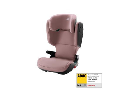 4000984912654%5Fbrr022641%5Fdusty%5Frose%5F1%5Fz296786z