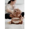 Usínáček a strážce dudlíku Sleepytot Bunny - pes-hnědý