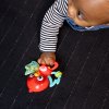 BABY EINSTEIN Hračka hudobná senzorická Roxy's Bright Flight™ 3m+