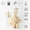 2 MM Giraffe Plush Toy Gift Set 2000x2000pxs v2 1800x1800