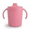 Dusty Rose%5FTrainer Sippy Cup p