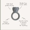 Koala Teether infographic p