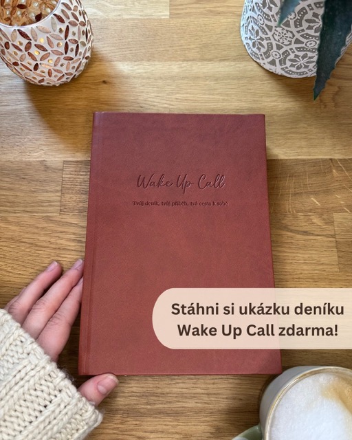 Ukázka deníku