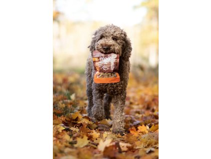 Marp Holistic Plus Kačka - funkčné pamlsky na podporu mobility pre psov 80g