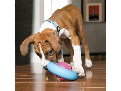 203500 kong gyro welpen small hs 06 5