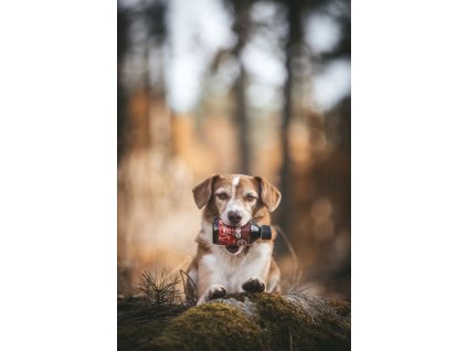 Marp Holistic Ľanový olej 250ml