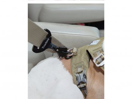 Truelove Karabína na bezpečnostný pás v aute psa psa,bezpečnostná karabína na psa,hliník,bezpečný prevoz psa,pevný materiál,čierna 2