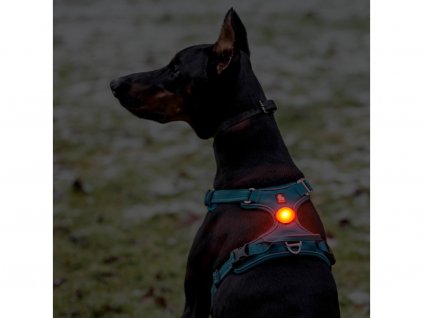 Truelove nabíjateľné svetielko psa psa,na postroj,obojok,rôzne sveteľné možnosti,vysoká viditeľnosť,polykarbonát,vodotesné,USB,dlhá výdrž,rôzne farby 1