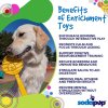 4 Benefits SodaPup Enrichment Toy SodaPup Lick Sticks