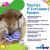 4 Benefits SodaPup Enrichment Feeder SodaPup eTray Mandala Softie Purple