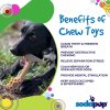 4 Benefits SodaPup Chew Toy SodaPup Nylon Honey Bone Flower Tower min 1024x1024@2x