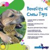4 Benefits SodaPup Chew Toy SodaPup Nylon Butterfly Brown min 1024x1024@2x