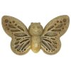 Sodapup butterfly brown